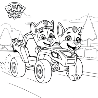 Kolorowanka: PSI PATROL: Ryder organizuje wyścig pojazdów