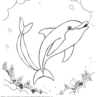 Kolorowanka Delfin