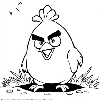 Kolorowanka Ptak Angry Birds