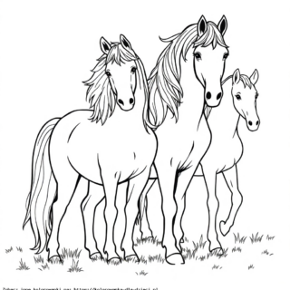 Koniki Pony Kolorowanka
