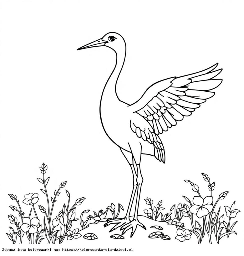 Kolorowanka Żuraw