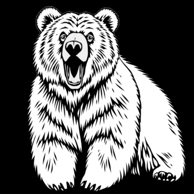 Niedźwiedź kolorowanka