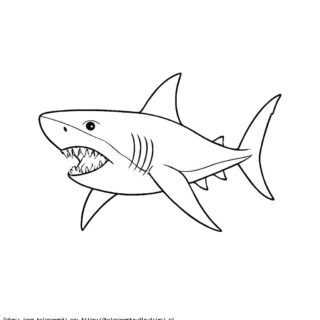 Kolorowanka Megalodon