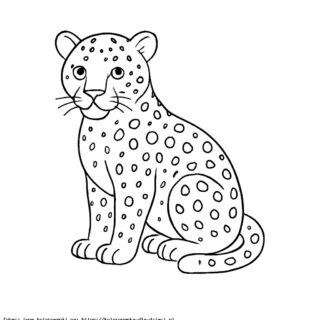 Kolorowanka Leopard