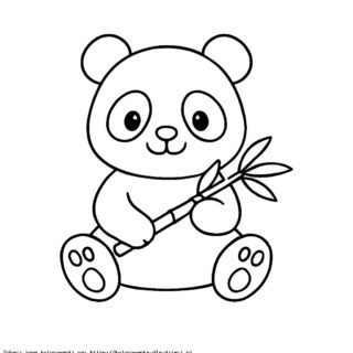 Panda Kolorowanka