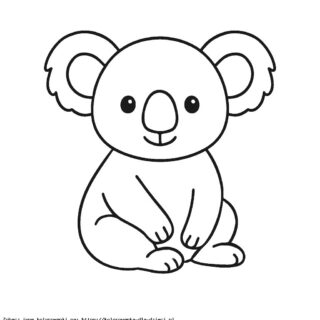 Kolorowanka Koala