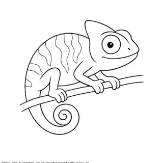 Kolorowanka Kameleon