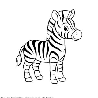 Kolorowanka Zebra