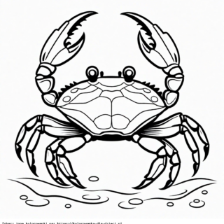 Kolorowanka Krab