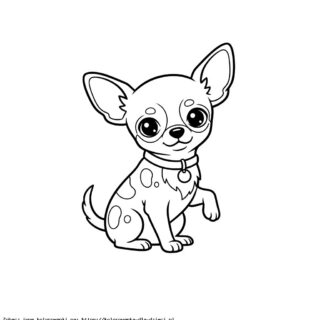 Kolorowanka Piesek Chihuahua