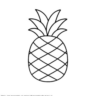 Kolorowanka Ananas