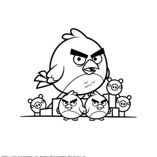 angry birds kolorowanki