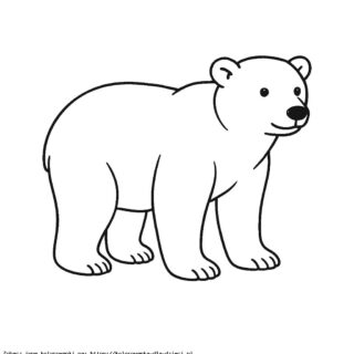 Kolorowanka Niedźwiedź Polarny