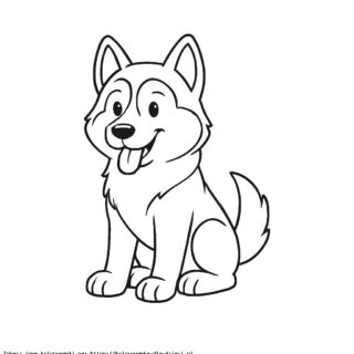 Kolorowanka Pies Husky