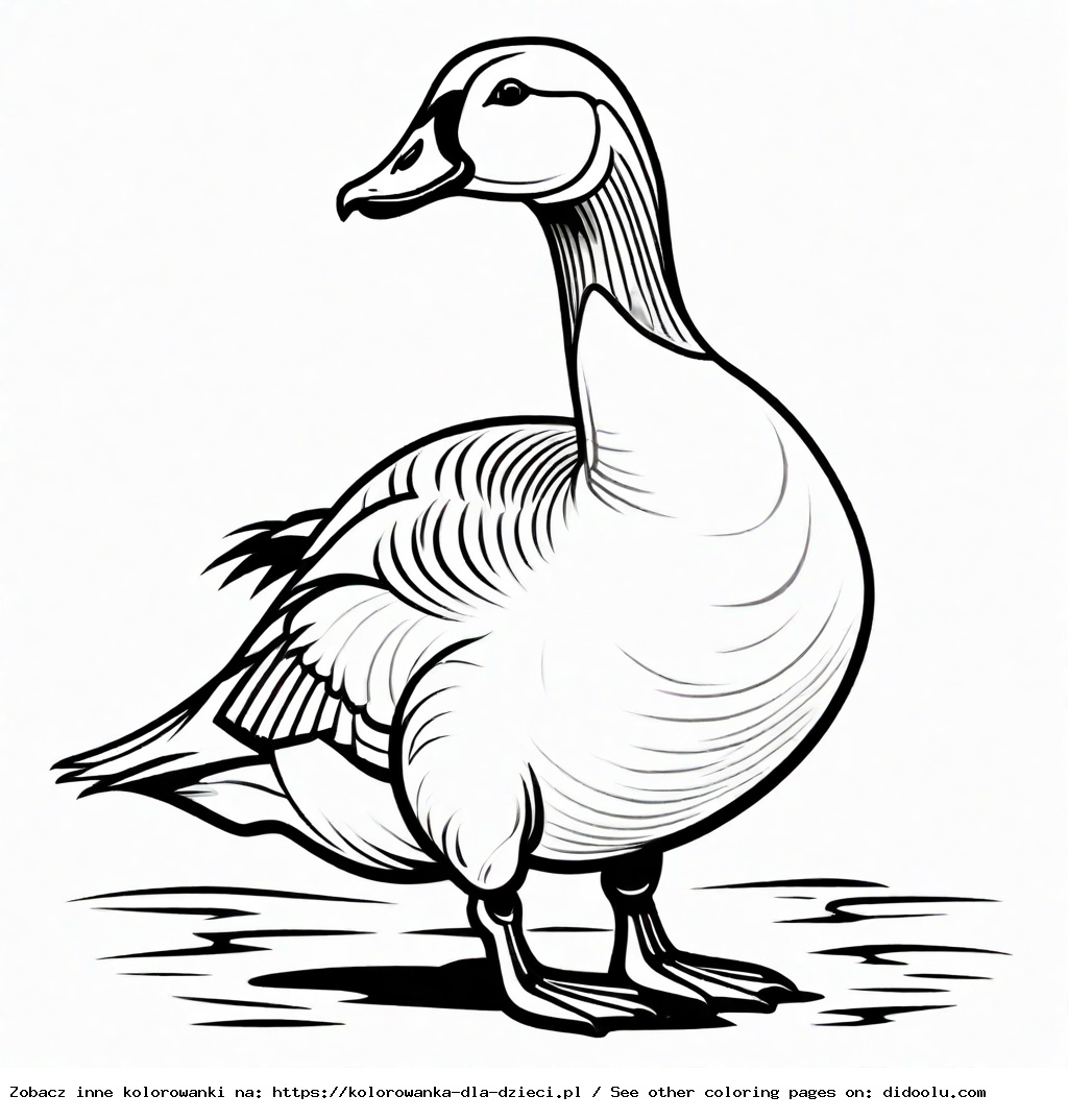 gęś kolorowanka