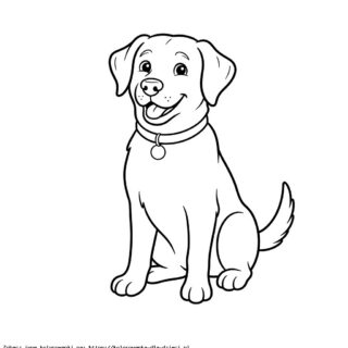 Kolorowanka Pies Labrador