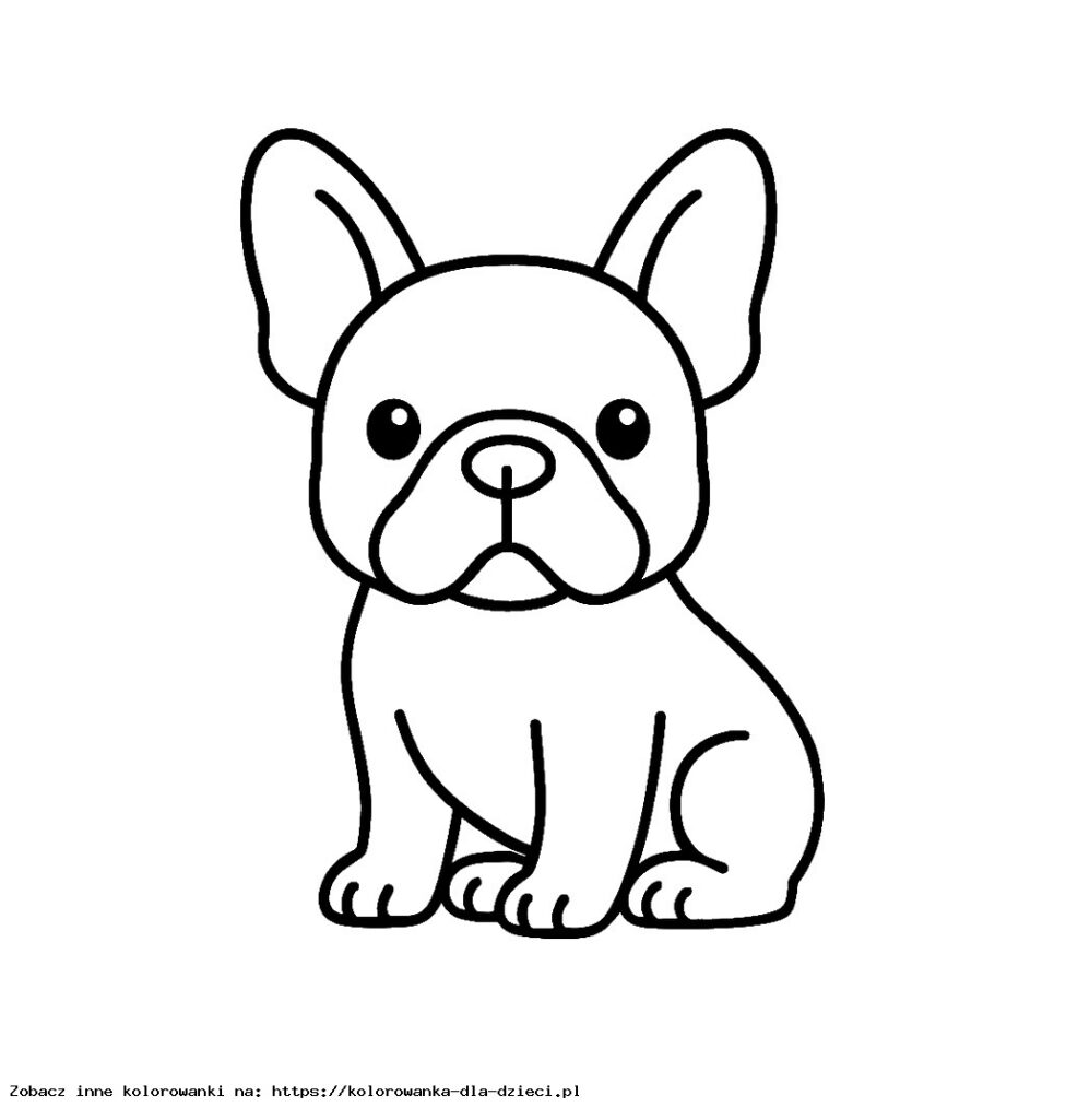 Kolorowanka Buldog Francuski