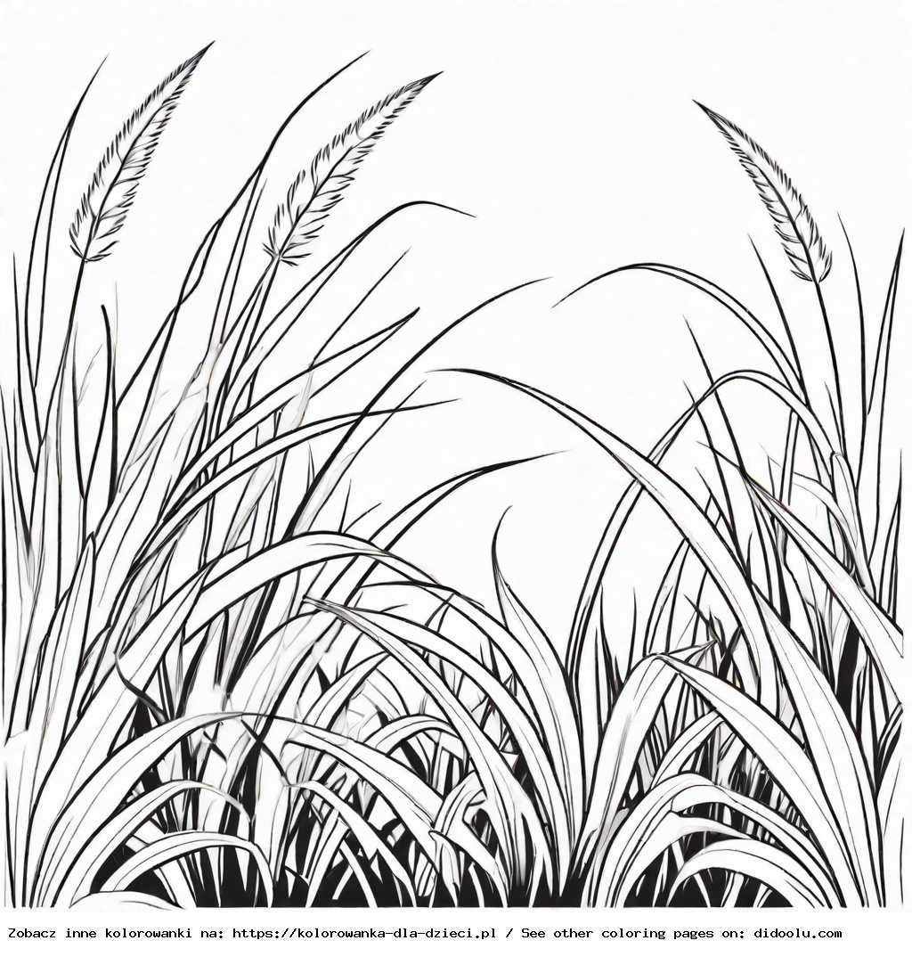 trawa kolorowanka