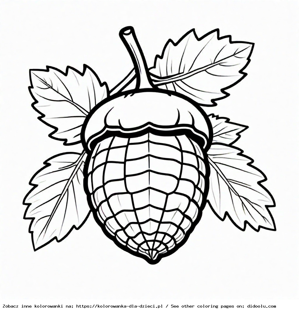 żołędzie kolorowanka